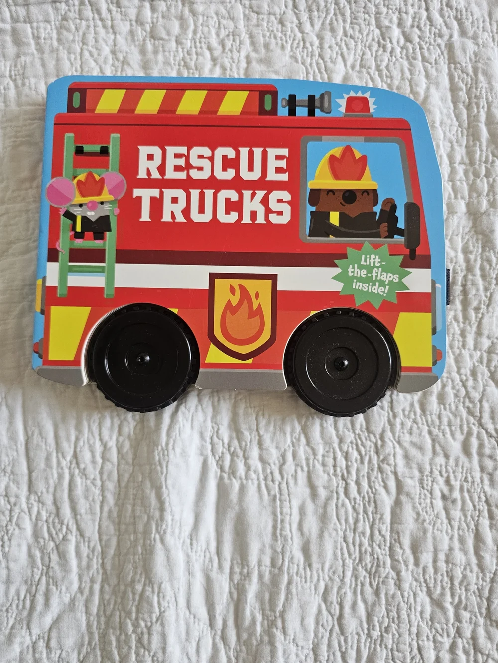 N/A scholastic rescue